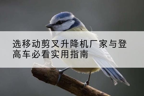 玉州电动升降机厂家-选移动剪叉升降机厂家与登高车必看实用指南