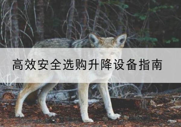 玉州升降货梯厂家推荐-*安全选购升降设备指南