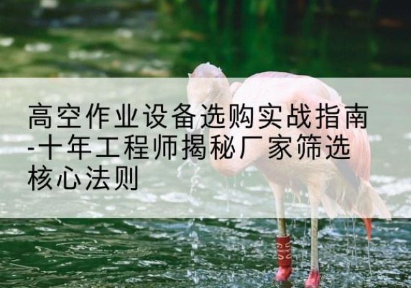 玉州剪叉式升降机厂家-高空作业设备选购实战指南-十年工程师揭秘厂家筛选核心法则